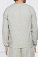 Džemperis | Regular Fit Emporio Armani pilka