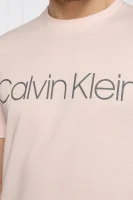 Marškinėliai | Regular Fit Calvin Klein kaštonų