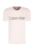 Marškinėliai | Regular Fit Calvin Klein kaštonų