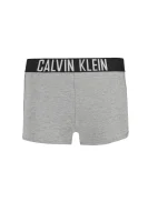 šortai | regular fit Calvin Klein Swimwear pilka