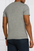 Marškinėliai Sallar | Regular Fit Napapijri pilka