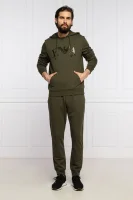 Džemperis | Regular Fit Emporio Armani žalia