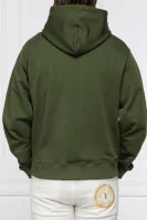 Džemperis | Regular Fit Kenzo žalia