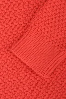 Megztinis Larix | Regular Fit Desigual raudona