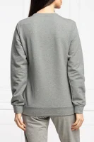 džemperis | regular fit EA7 pilka