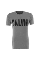 tėjiniai marškinėliai grey heather CALVIN KLEIN JEANS pilka