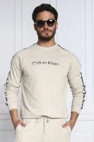 Džemperis | Regular Fit Calvin Klein Performance alyvų