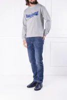 Džemperis | Regular Fit Kenzo pilka