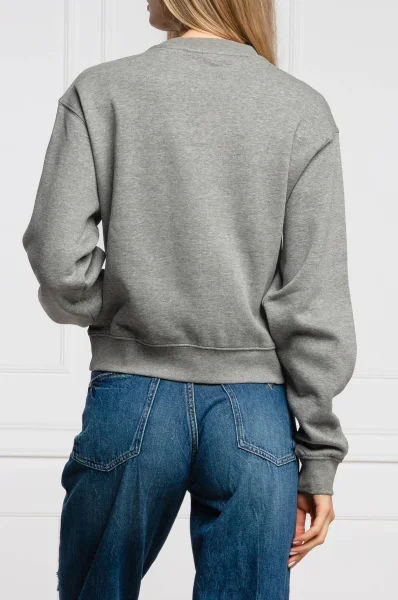Džemperis | Regular Fit GUESS pilka