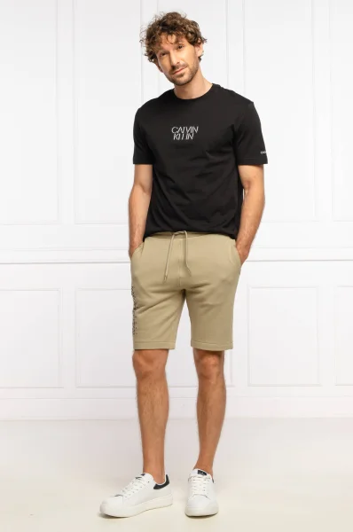Marškinėliai | Regular Fit Calvin Klein juoda