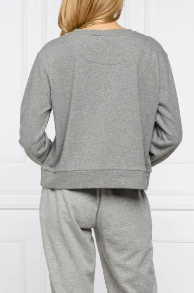 Džemperis | Regular Fit DKNY pilka