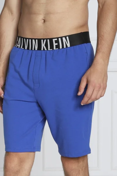 Šortai | Relaxed fit Calvin Klein Underwear mėlyna