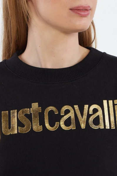 Džemperis | Regular Fit Just Cavalli juoda