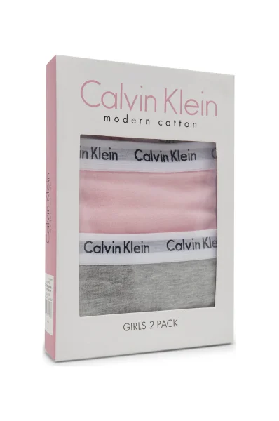 Kelnaitės 2 vnt. Calvin Klein Underwear pilka