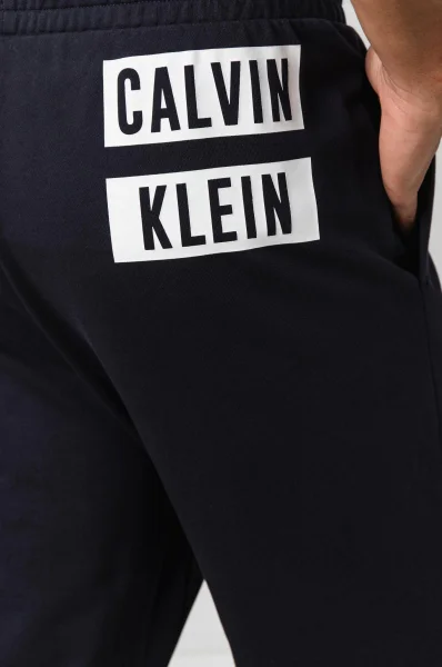 kelnės sportinė aprangaowe | regular fit Calvin Klein Performance tamsiai mėlyna