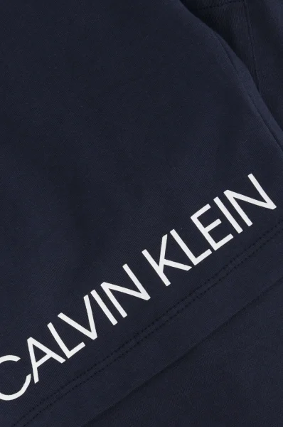 Šortai | Regular Fit Calvin Klein Swimwear tamsiai mėlyna