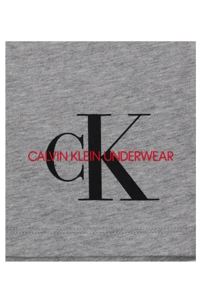 Longsleeve | Regular Fit Calvin Klein Underwear pilka