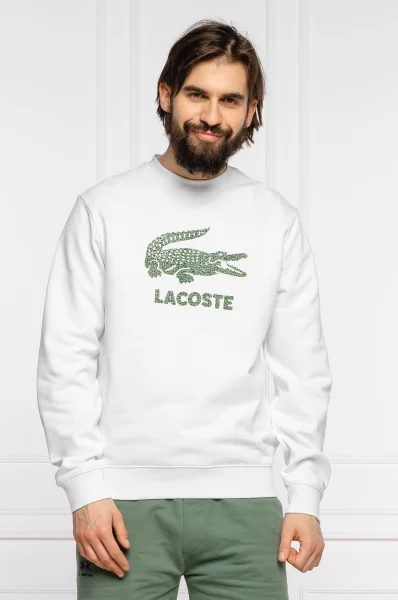 Džemperis | Regular Fit Lacoste balta