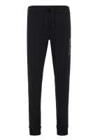 kelnės sportinė aprangaowe | regular fit EA7 juoda