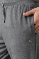 kelnės sportinė aprangaowe | relaxed fit Calvin Klein Performance pilka