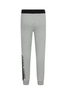 kelnės sportinė aprangaowe | regular fit BOSS Kidswear pilka