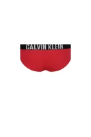 Kelnaitės 2 vnt. Calvin Klein Underwear raudona